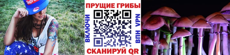 Галлюциногенные грибы Cubensis  Тутаев 